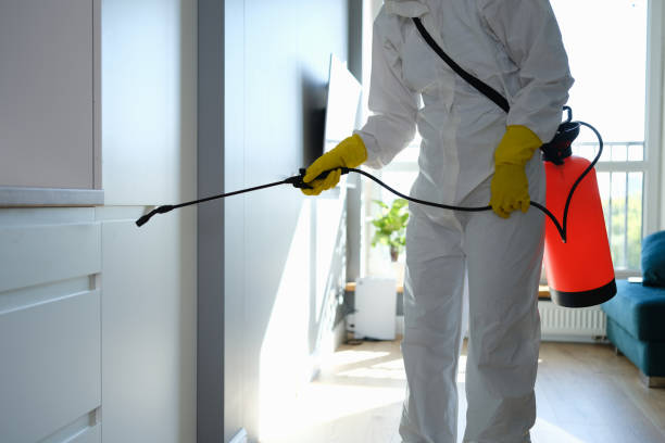 Best Crawl Space Mold Removal  in Benld, IL